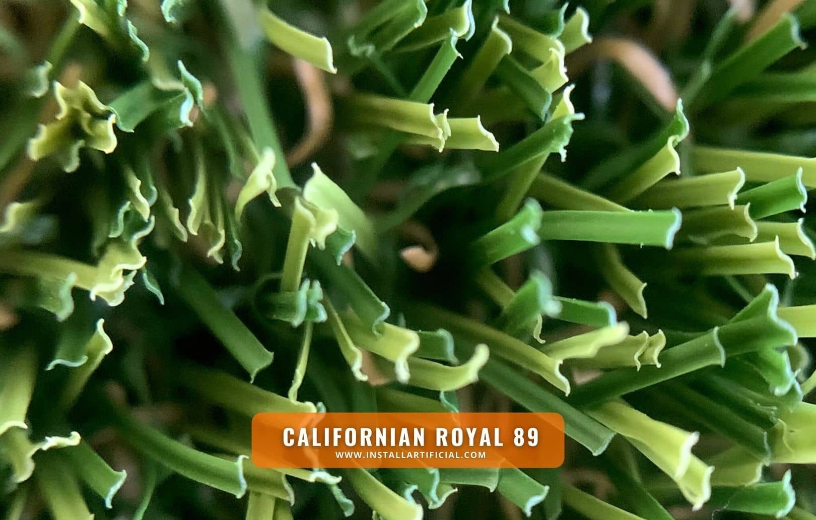 Californian Royal 89, Imperial Synthetic Turf, macro view Californian Royal 89, Imperial Synthetic Turf, macro view