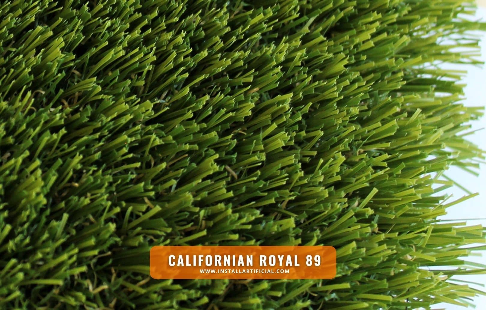 Californian Royal 89, Imperial Synthetic Turf, top view Californian Royal 89, Imperial Synthetic Turf, top view