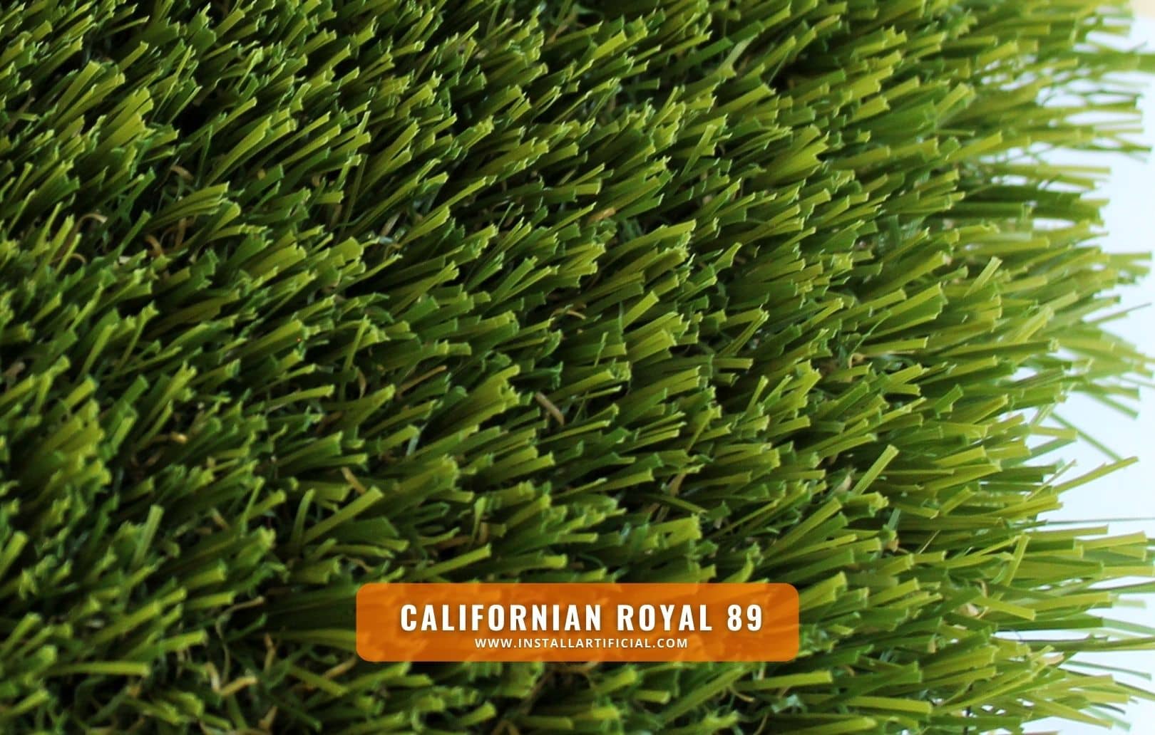 Californian Royal 89, Imperial Synthetic Turf, top view