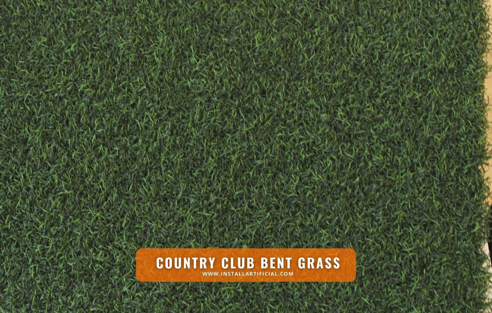 Country Club Bent Grass, Imperial Synthetic Turf, top