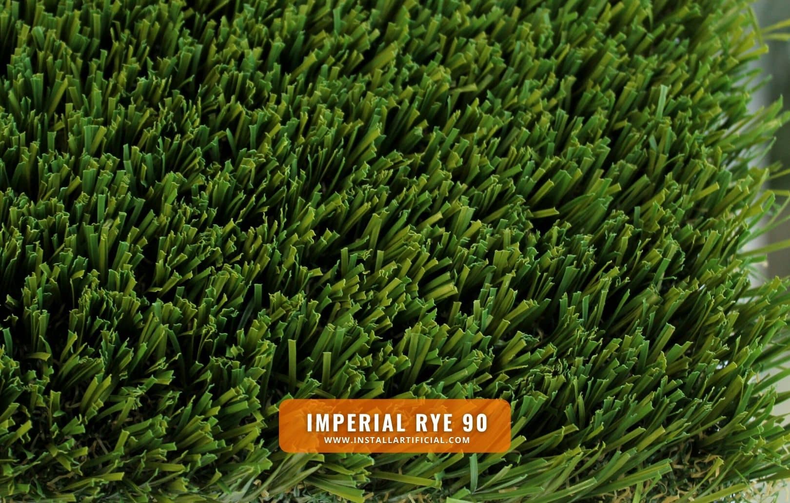 Imperial Rye 90, Imperial Synthetic Turf, top