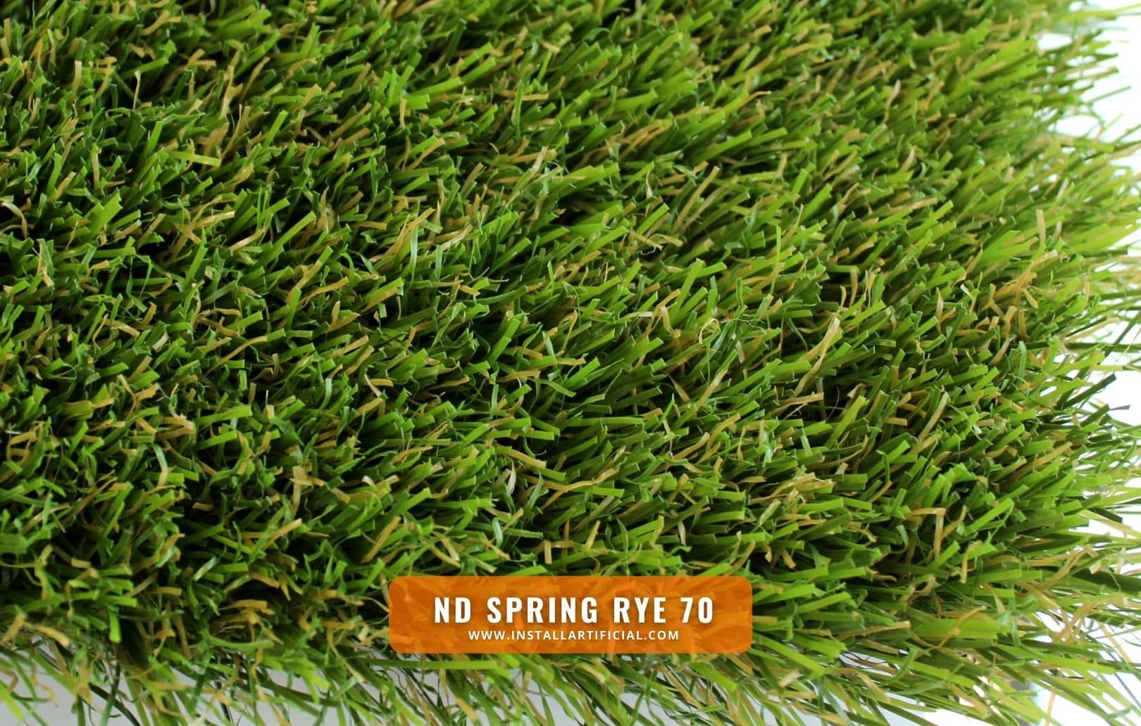 ND Spring Rye 70, Imperial Synthetic Turf, top