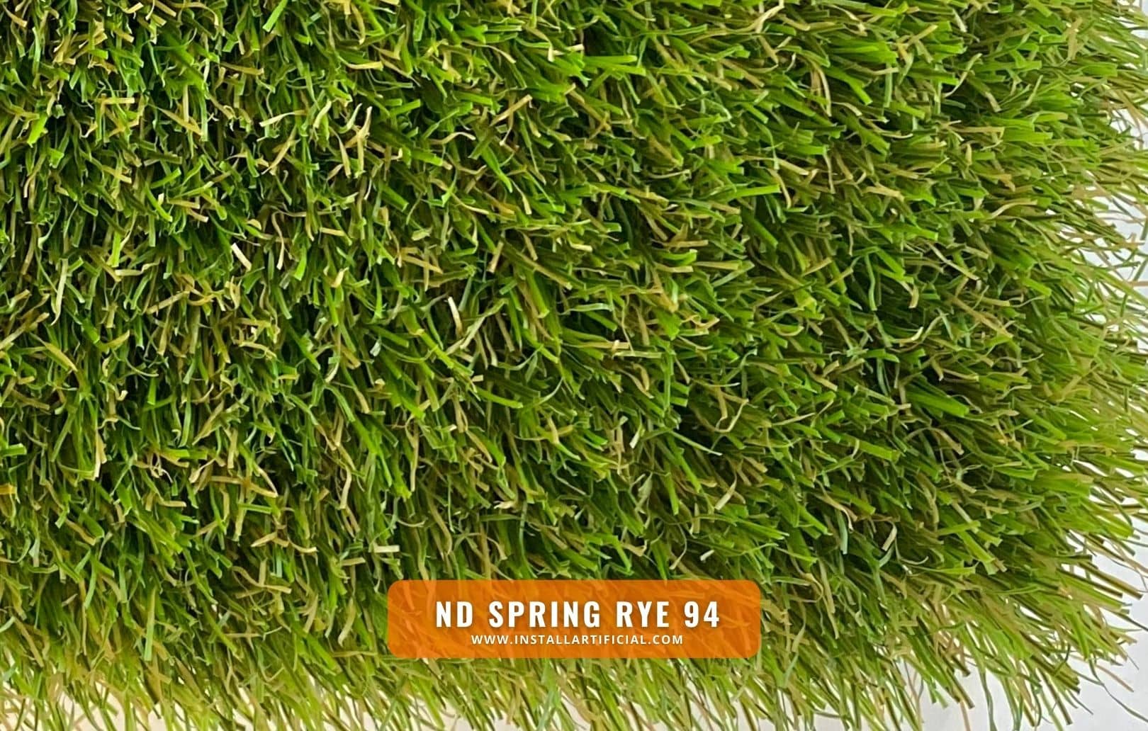 ND Spring Rye, Imperial Synthetic Turf, top