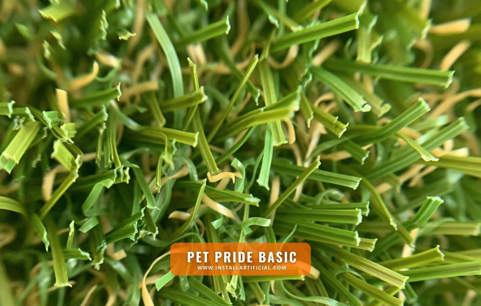 Pet Pride Basic, Imperial Synthetic Turf, macro