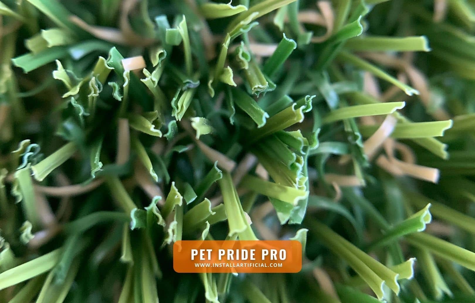 Pet Pride Pro, Imperial Synthetic Turf, macro