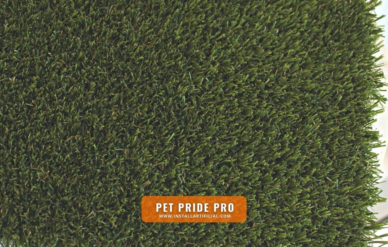 Pet Pride Pro, Imperial Synthetic Turf, top