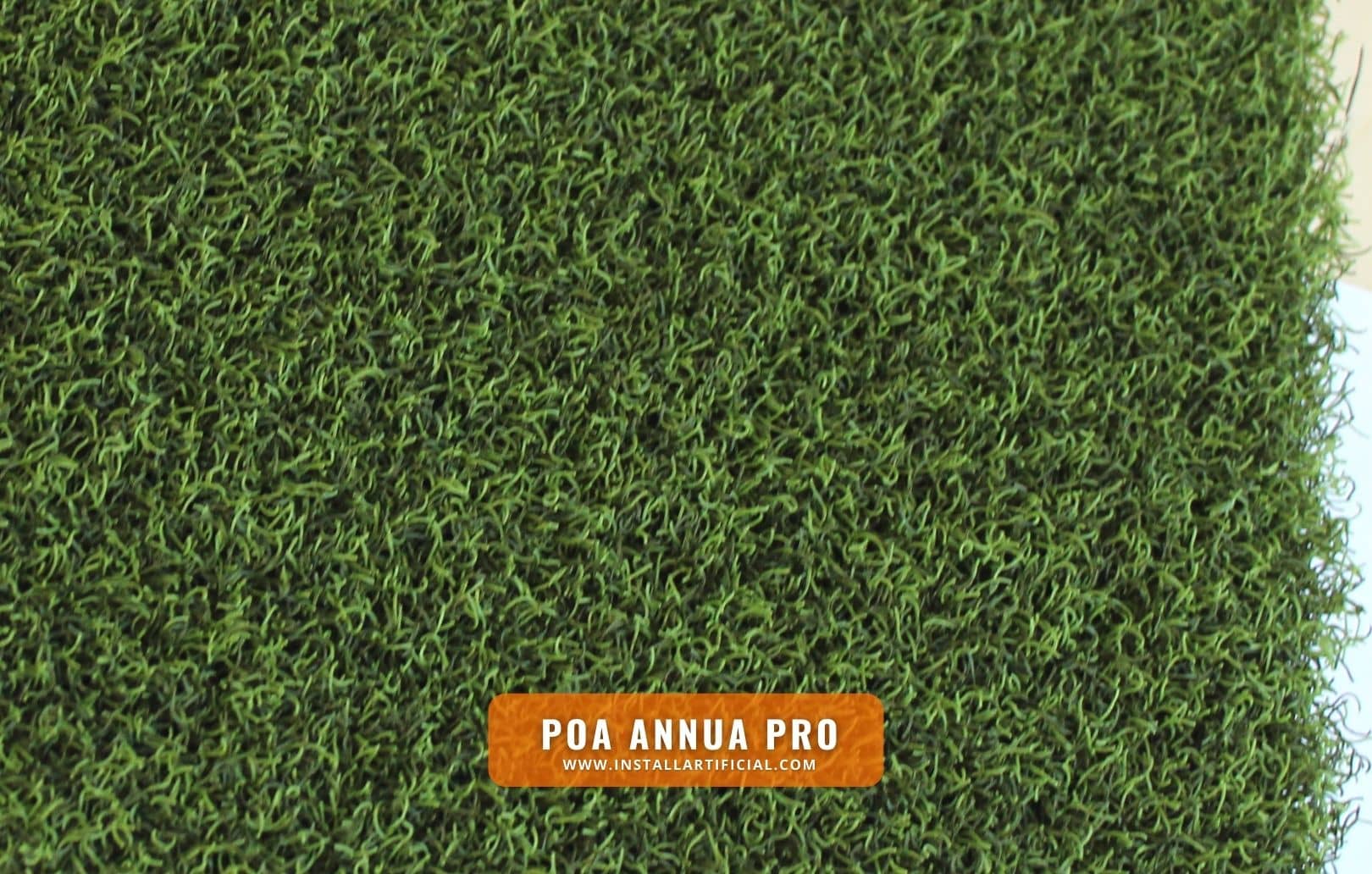 Poa Annua Pro, Imperial Synthetic Turf, top
