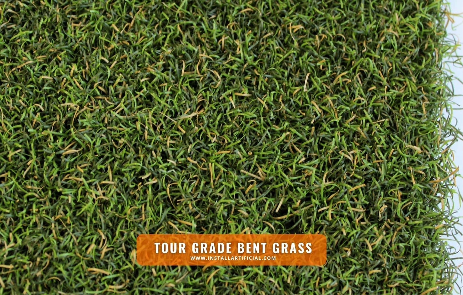 Tour Grade Bent Grass, Imperial Synthetic Turf,  top