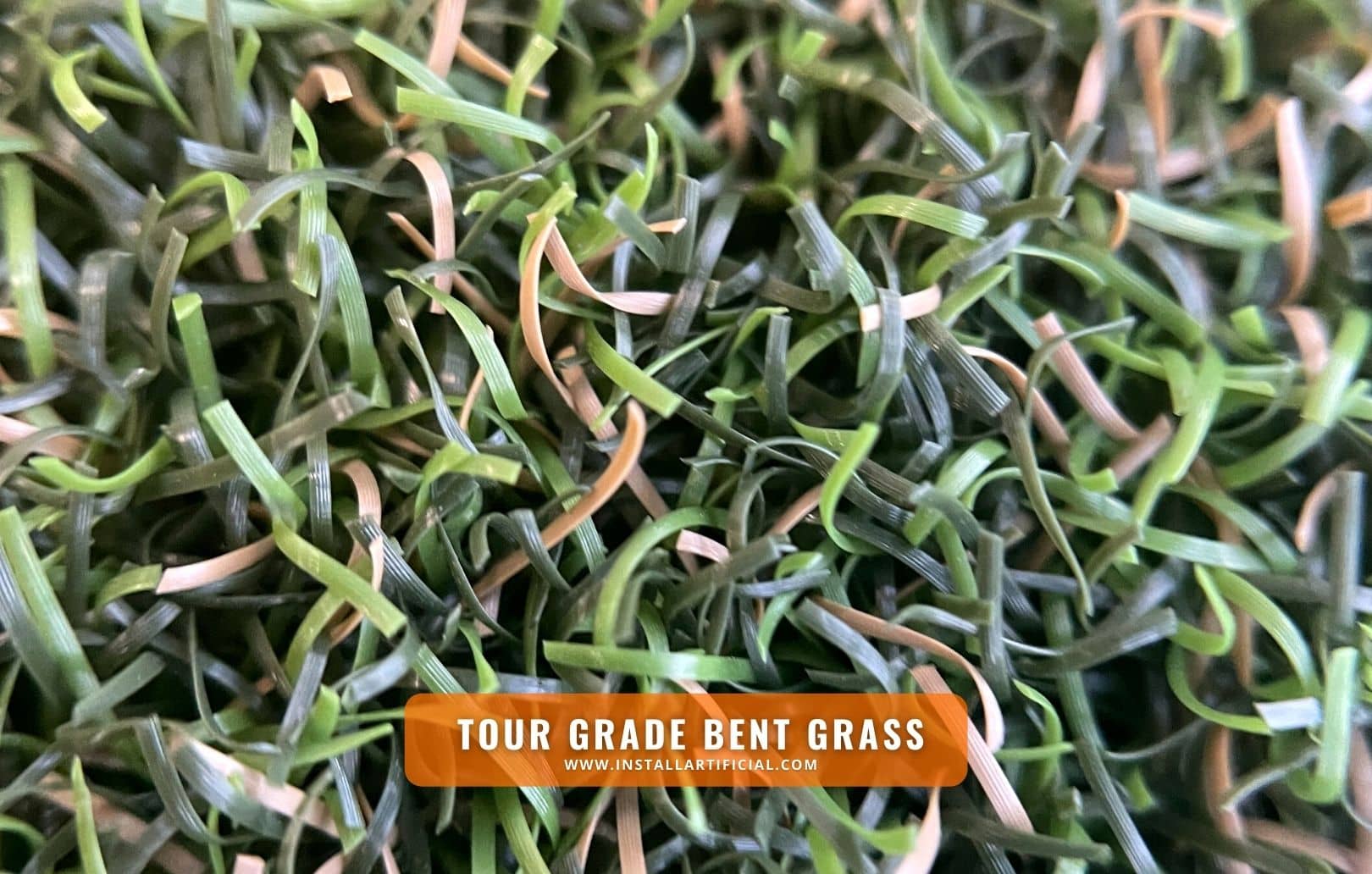 Tour Grade Bent Grass, Imperial Synthetic Turf, macro