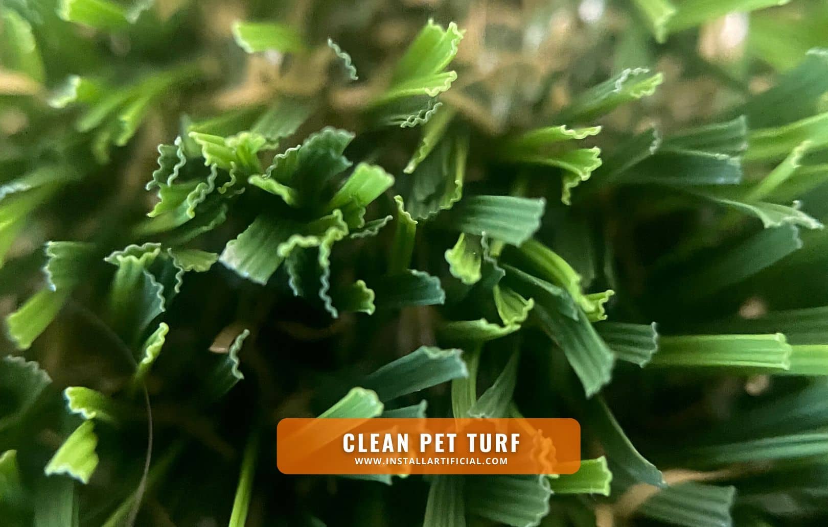 Clean Pet Turf CLose Clean Pet Turf CLose