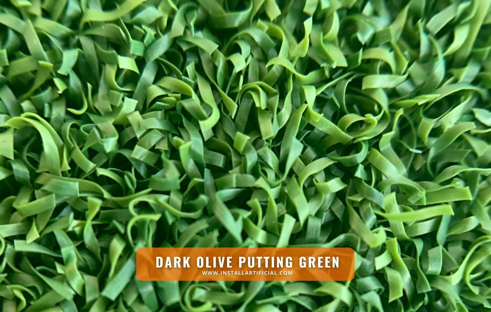 Dark Olive Putting Green, Purchase Green, macro