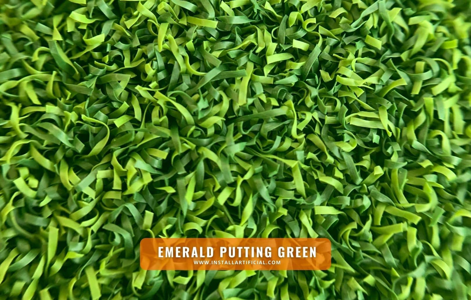 Emerald Putting Green, Purchase Green, macro