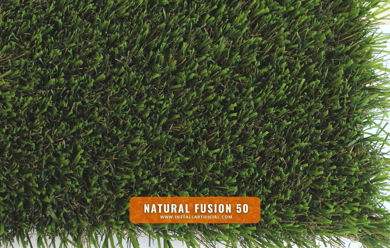 Natural Fusion 50, Purchase Green, top