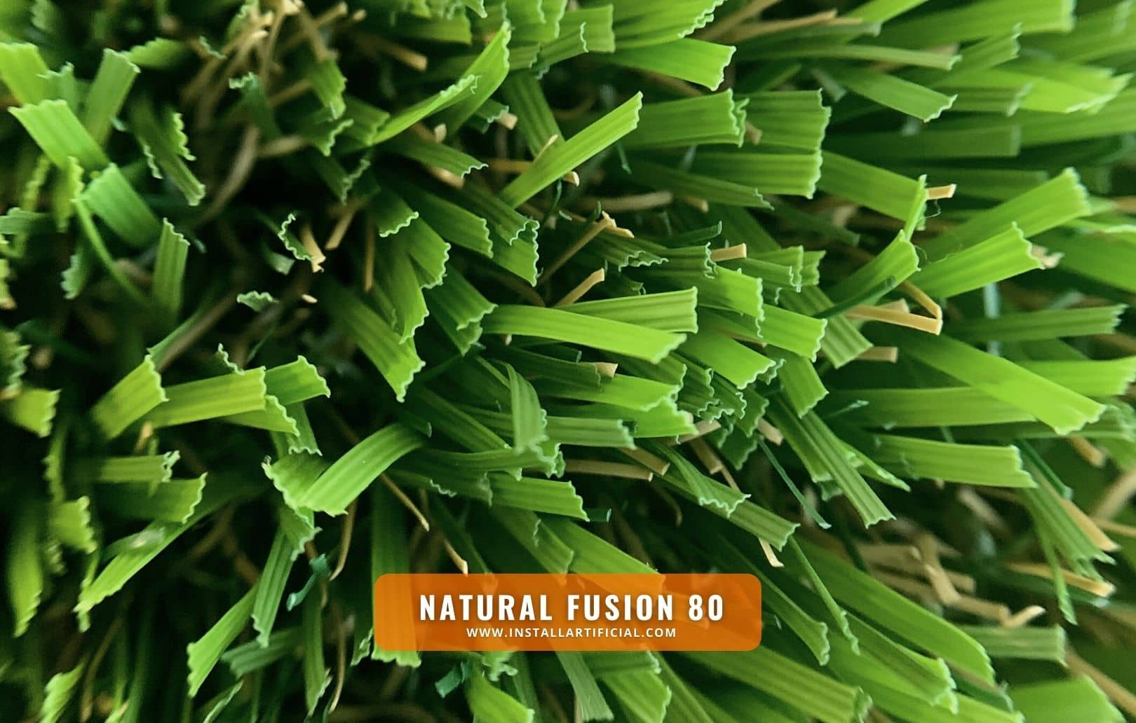 Natural Fusion 80, Purchase Green, macro