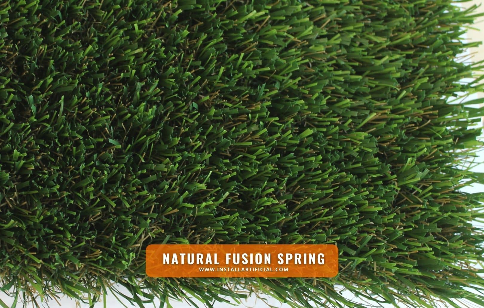 Natural Fusion Spring, Purchase Green, top