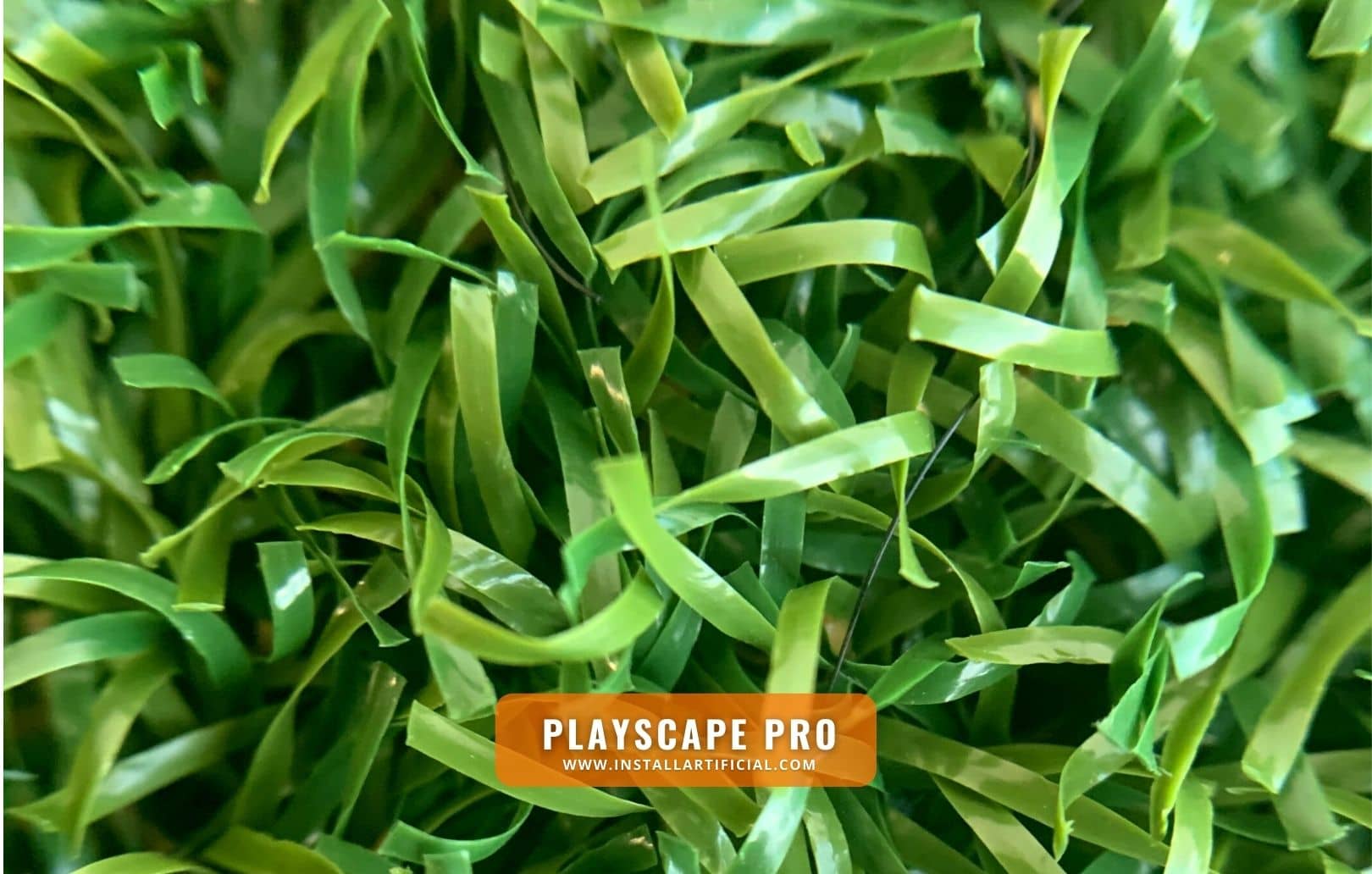 PlayScape Pro, Purchase Green, macro