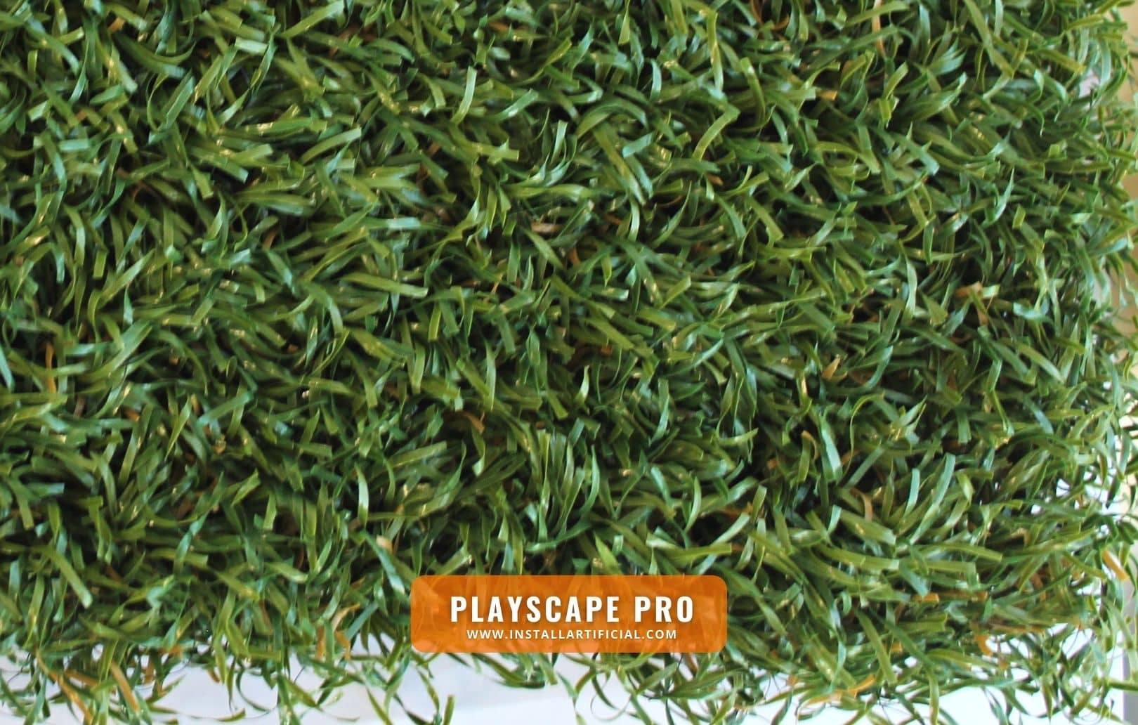 PlayScape Pro, Purchase Green, top