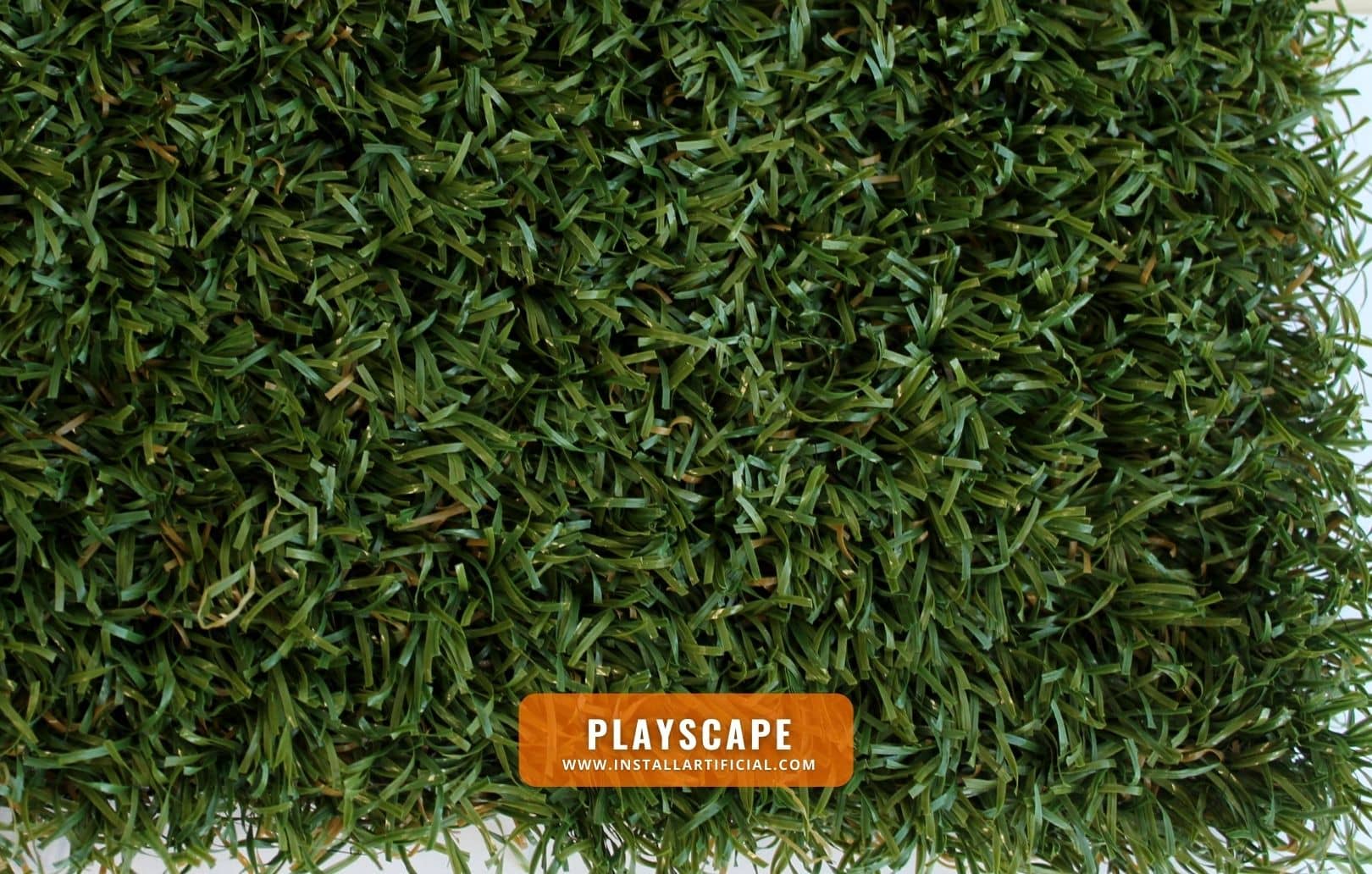 Playscape, Purchase Green, top