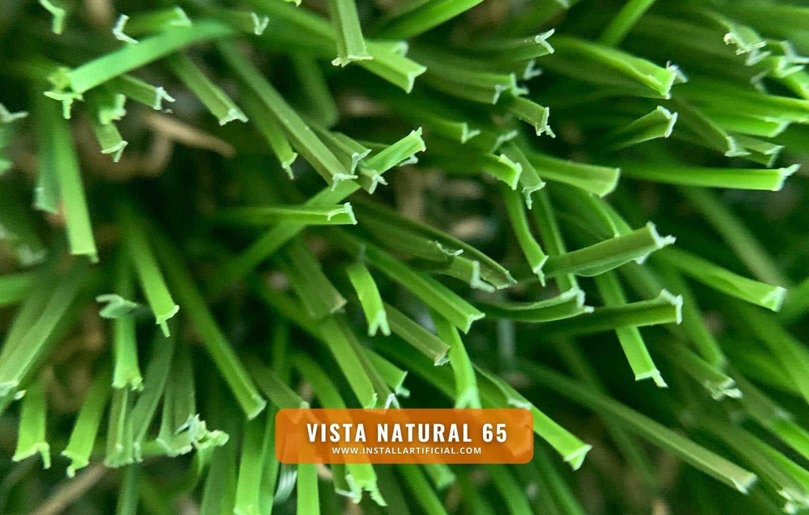Vista Natural 65, Purchase Green, macro Vista Natural 65, Purchase Green, macro