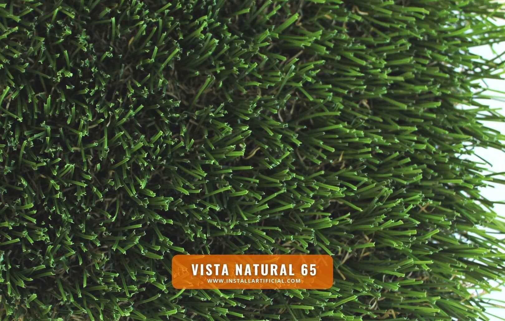 Vista Natural 65, Purchase Green, top