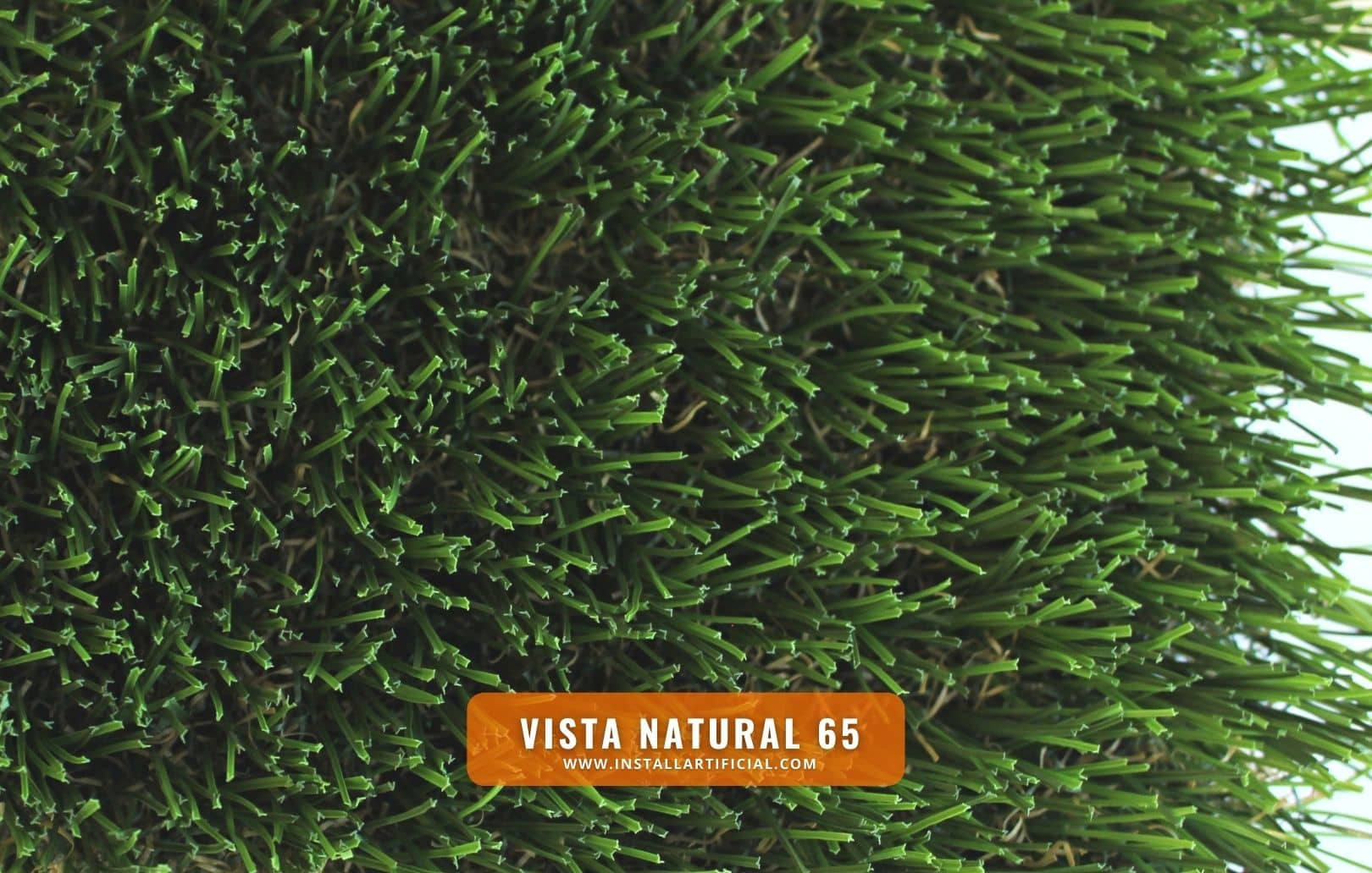Vista Natural 65, Purchase Green, top Vista Natural 65, Purchase Green, top