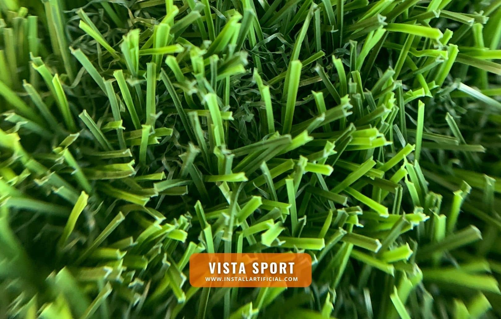 Vista Sport, Purchase Green, macro