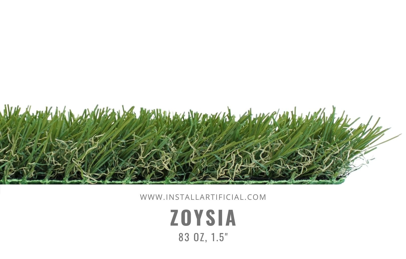 zoysia, Purchase Green, Side