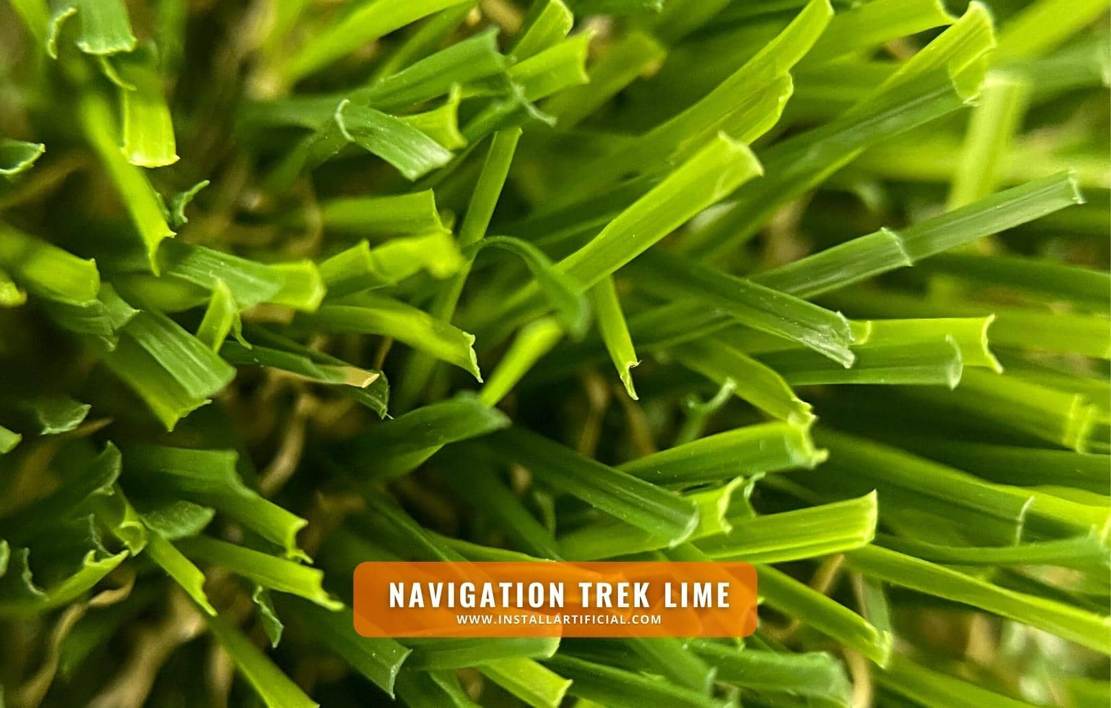 Navigation Trek Lime, Shawgrass, macro Navigation Trek Lime, Shawgrass, macro