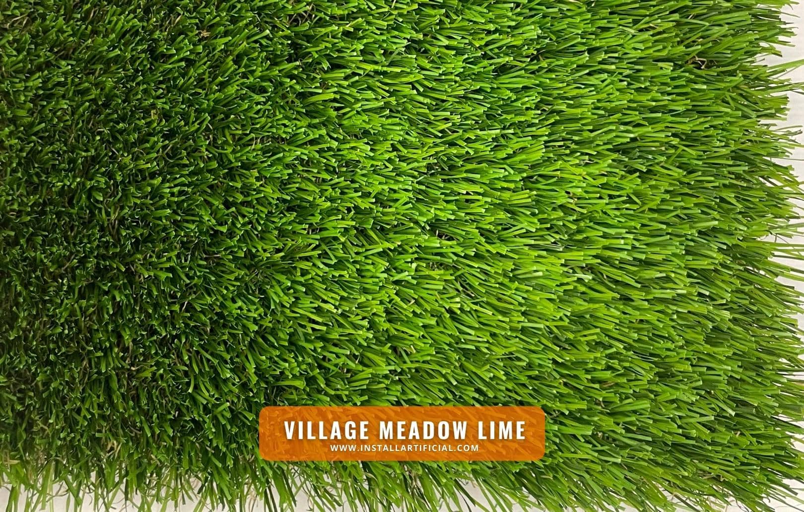 Village Meadow Lime, Shawgrass, top Village Meadow Lime, Shawgrass, top