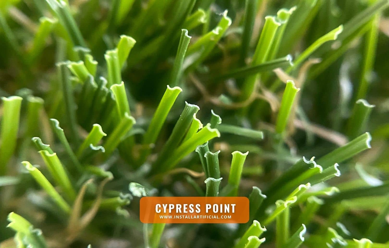 Cypress Point, Smart Turf, macro