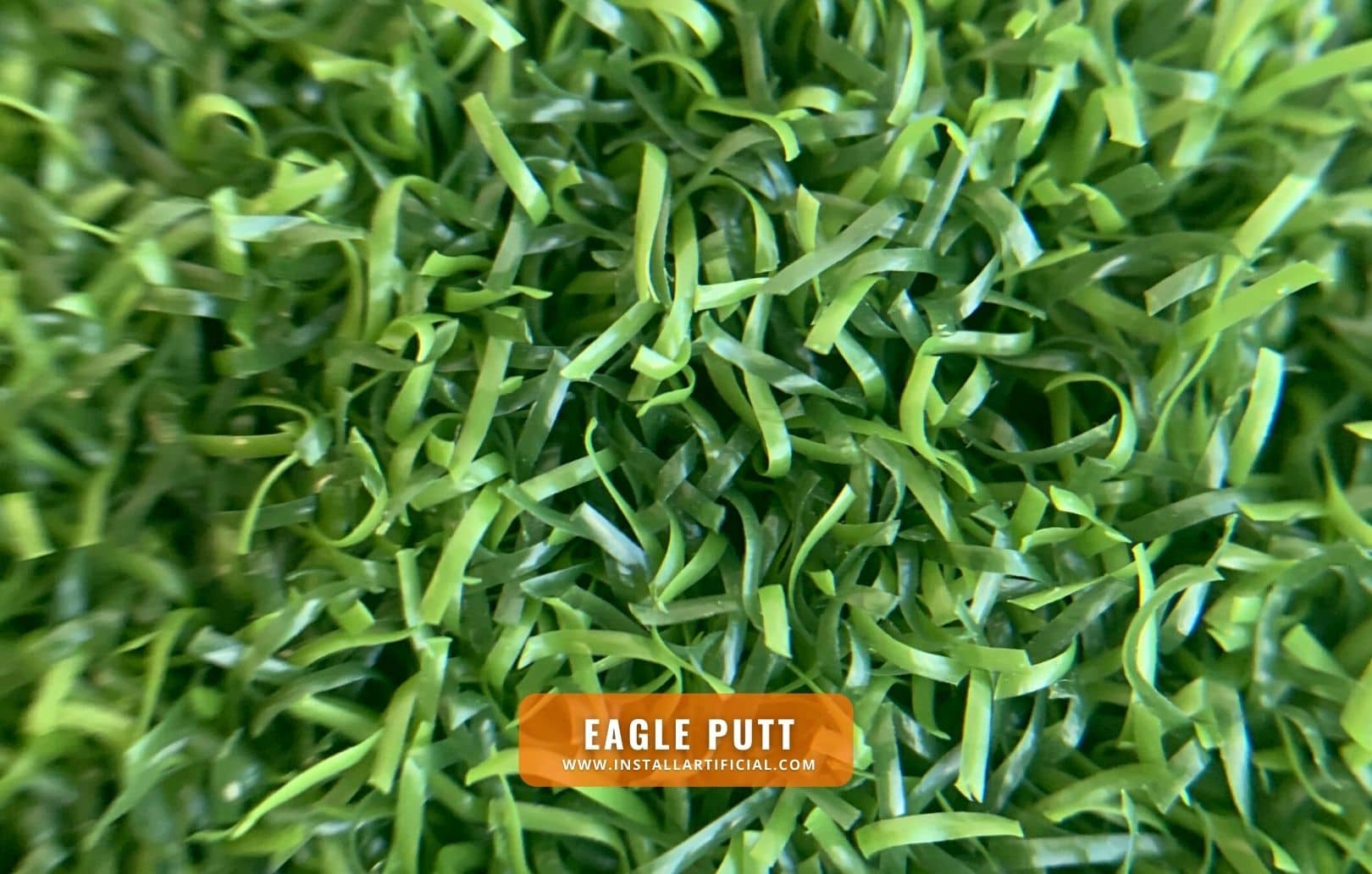 Eagle Putt, Smart Turf, macro Eagle Putt, Smart Turf, macro