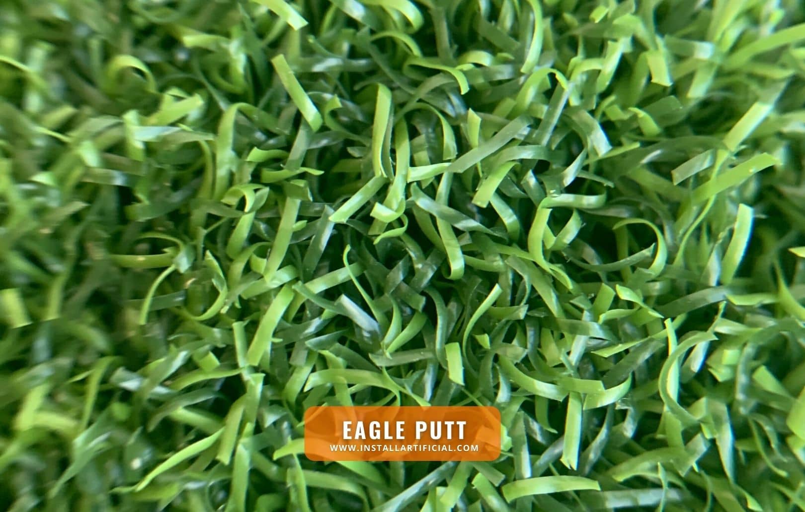 Eagle Putt, Smart Turf, macro