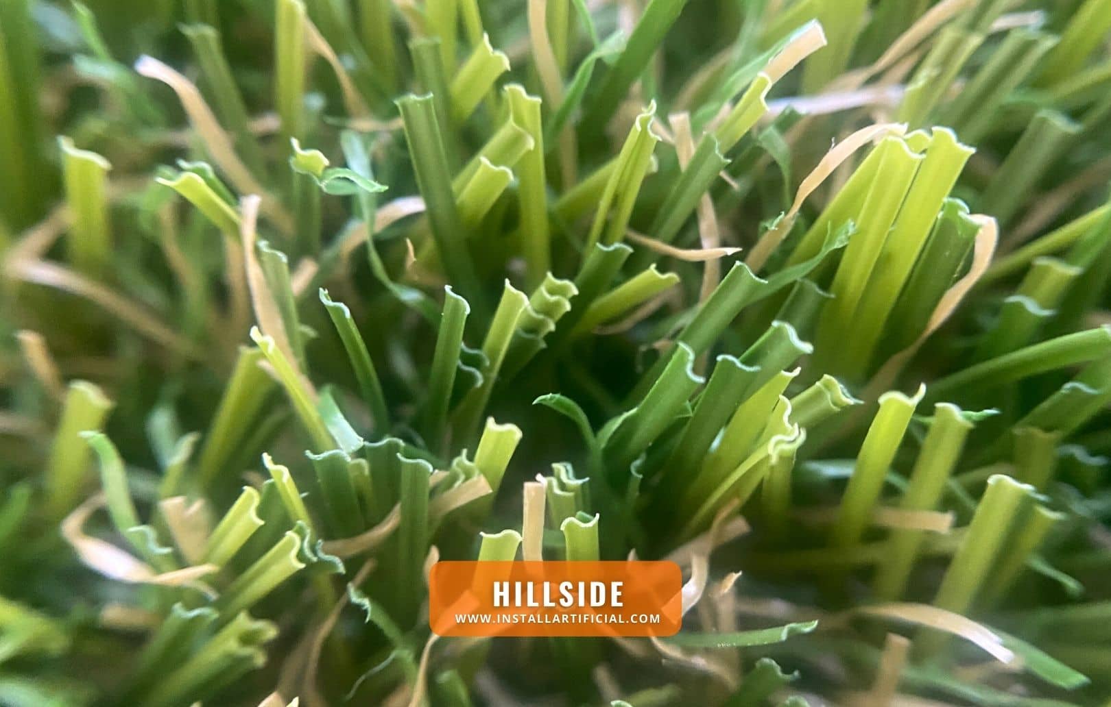 Hillside, Smart Turf, macro Hillside, Smart Turf, macro
