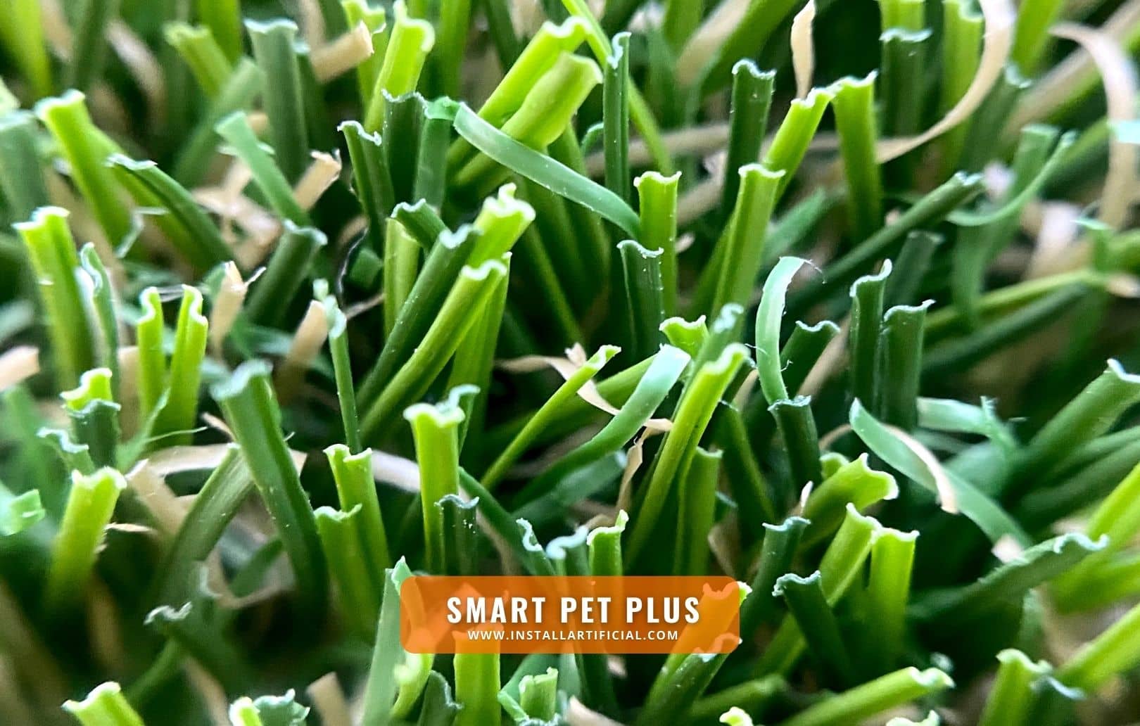 Smart Pet Plus, Smart Turf, top