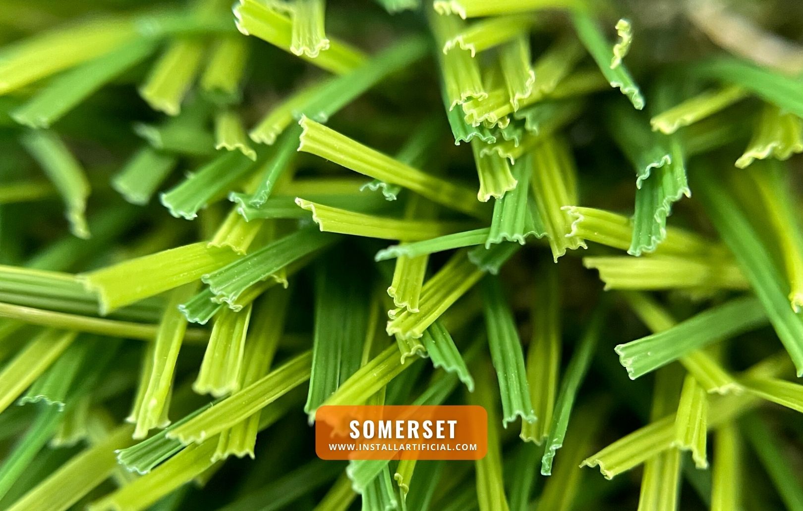 Somerset, Smart Turf, macro view