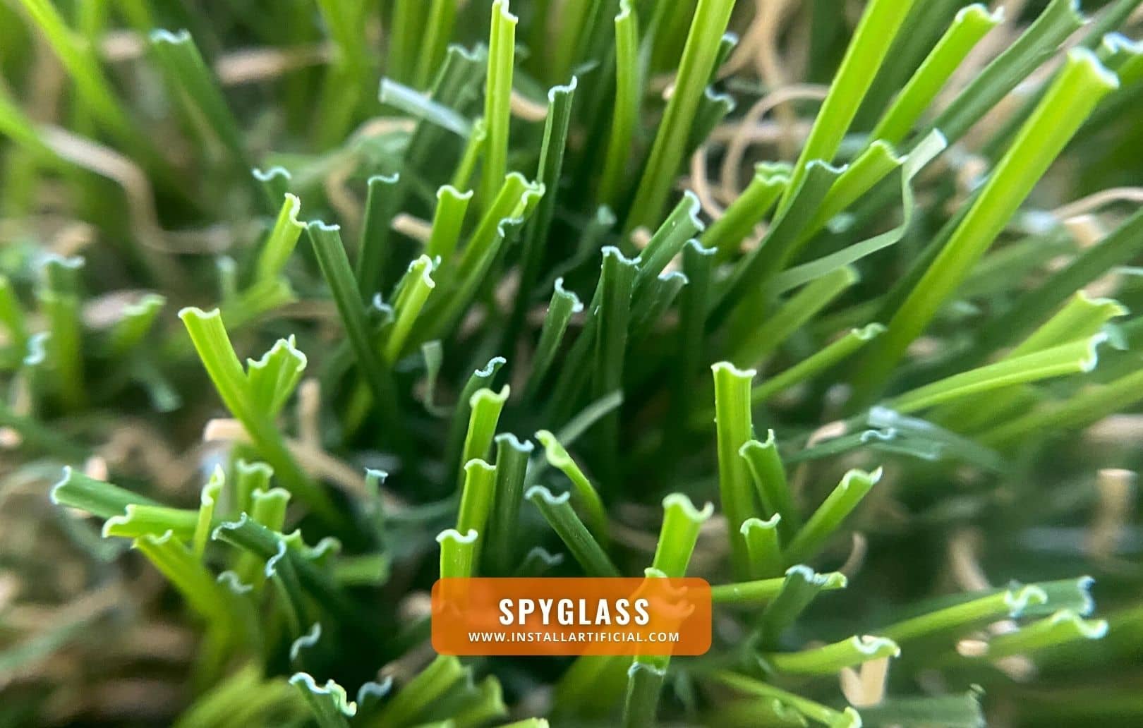 Spyglass, Smart Turf, macro