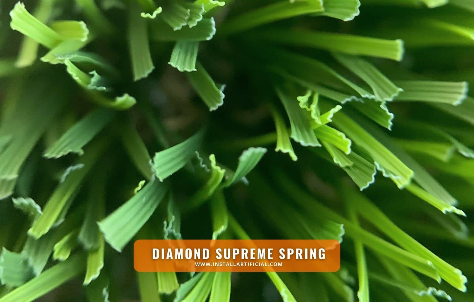 Diamond Supreme Spring, Synthetic Grass Warehouse, Tiger Turf, macro