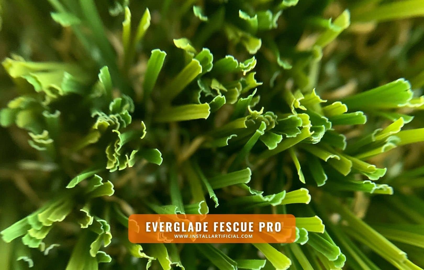 Everglade Fescue Pro, Synthetic Grass Warehouse, Tiger Turf, macro