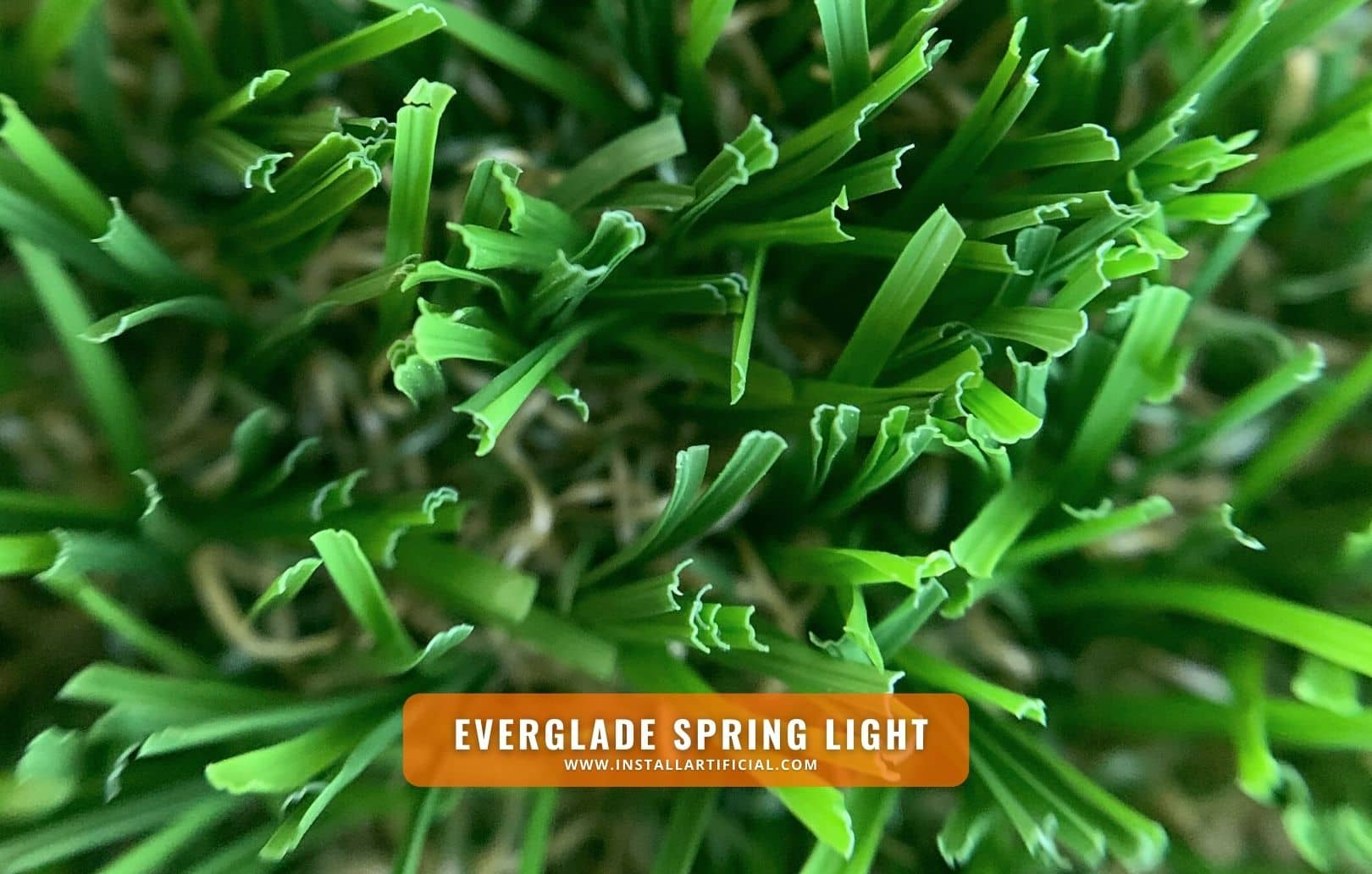 Everglade Spring Light, Synthetic Grass Warehouse, Tiger Turf, macro