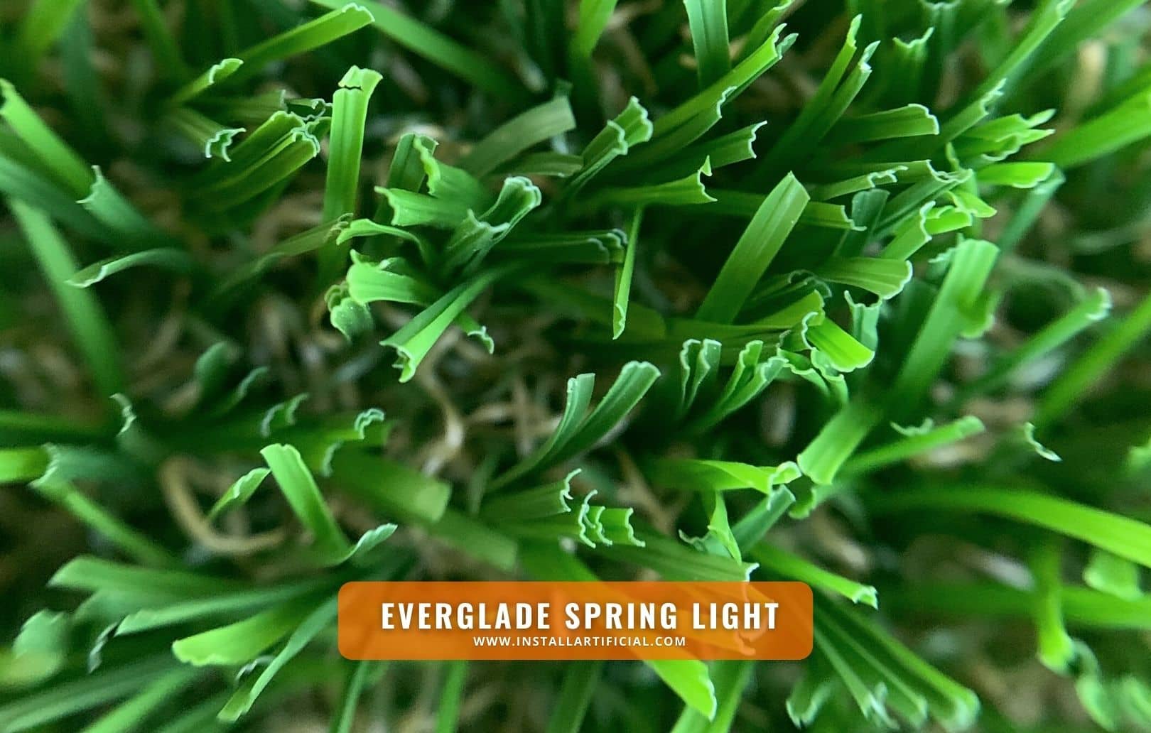 Everglade Spring Light, Synthetic Grass Warehouse, Tiger Turf, macro Everglade Spring Light, Synthetic Grass Warehouse, Tiger Turf, macro