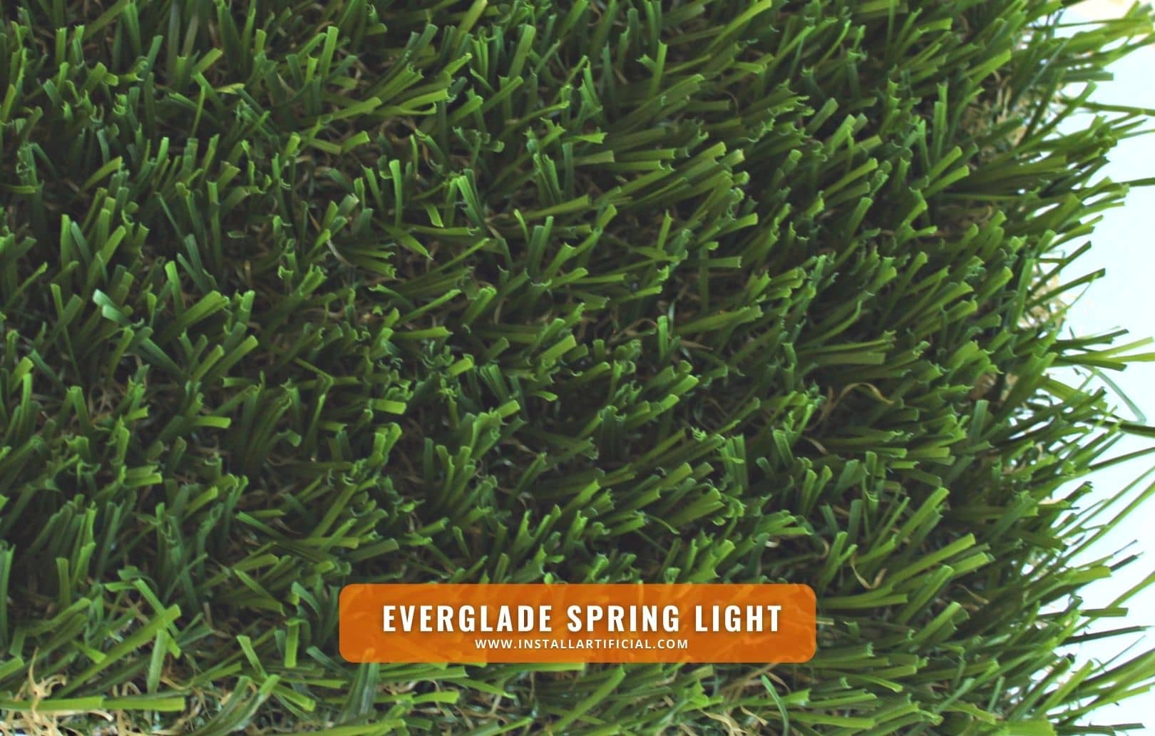 Everglade Spring Light, Synthetic Grass Warehouse, Tiger Turf, top