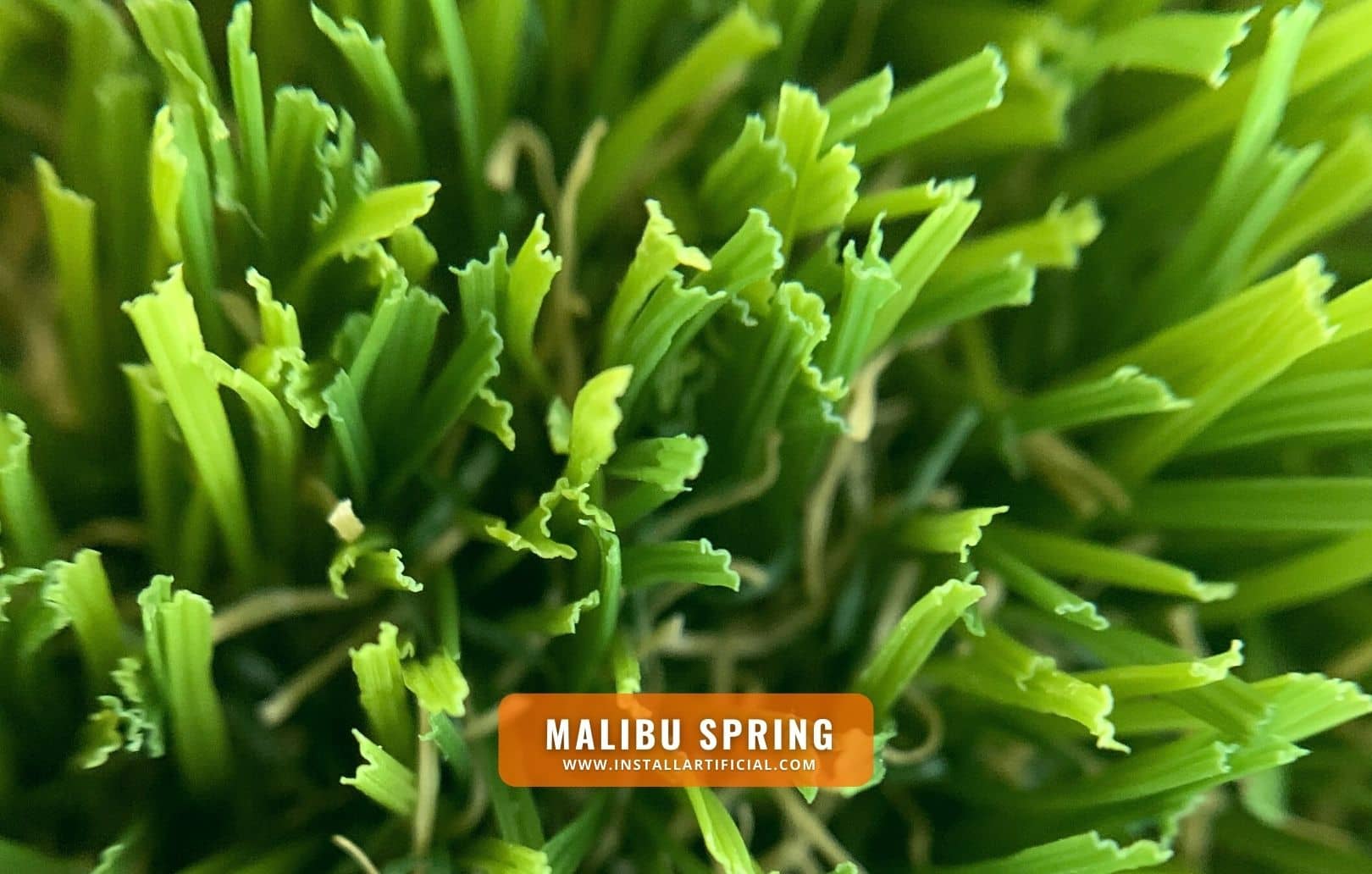 Malibu Spring, Synthetic Grass Warehouse, Everlast, macro