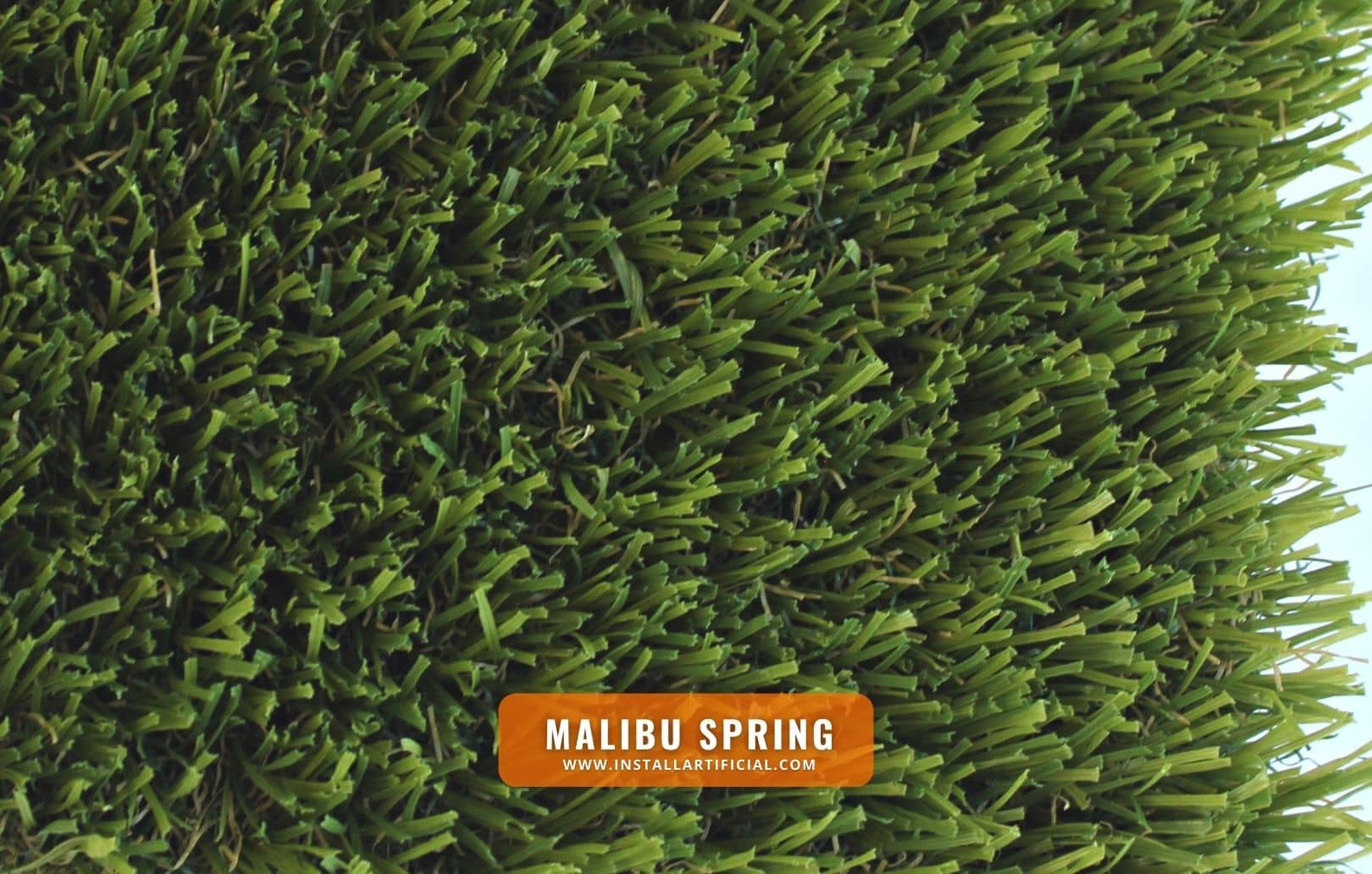 Malibu Spring, Synthetic Grass Warehouse, Everlast, top