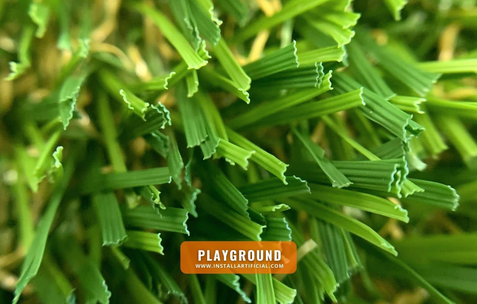 Playground, Synthetic Grass Warehouse, Tiger Turf, macro