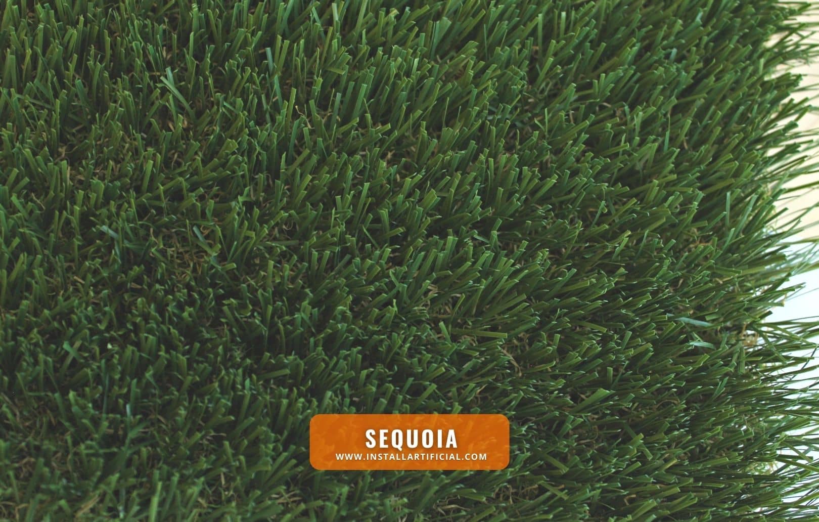 Sequoia, Synthetic Grass Warehouse, Everlast, top