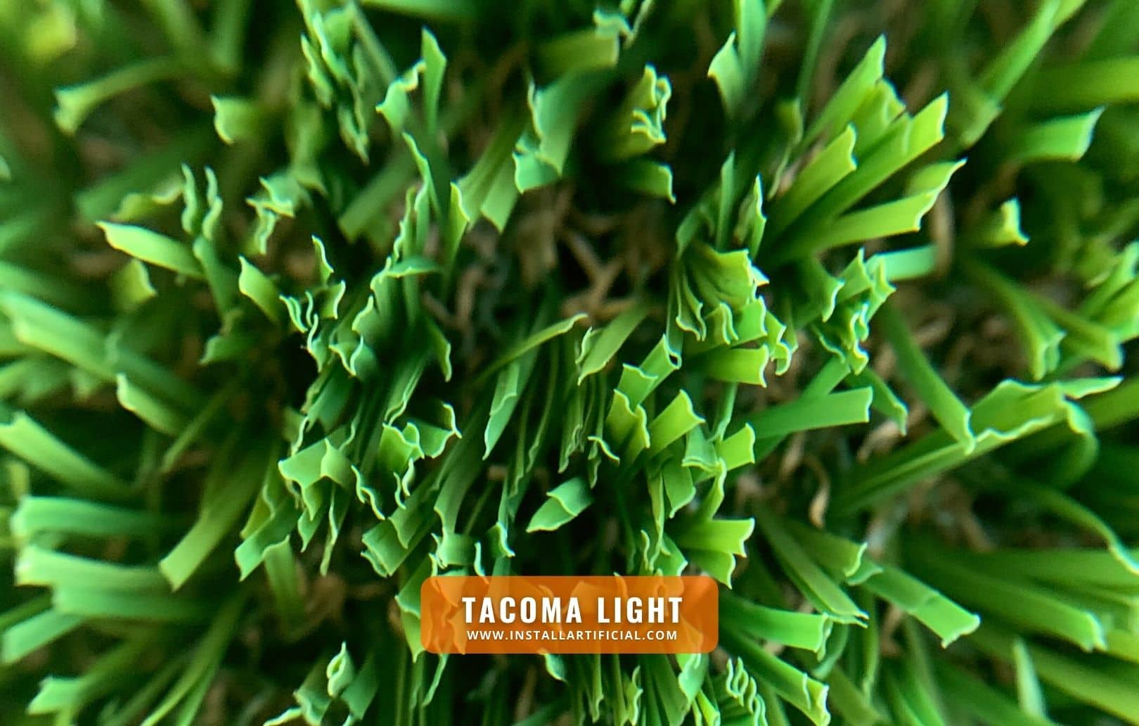 Tacoma Light, Synthetic Grass Warehouse, Everlast, macro