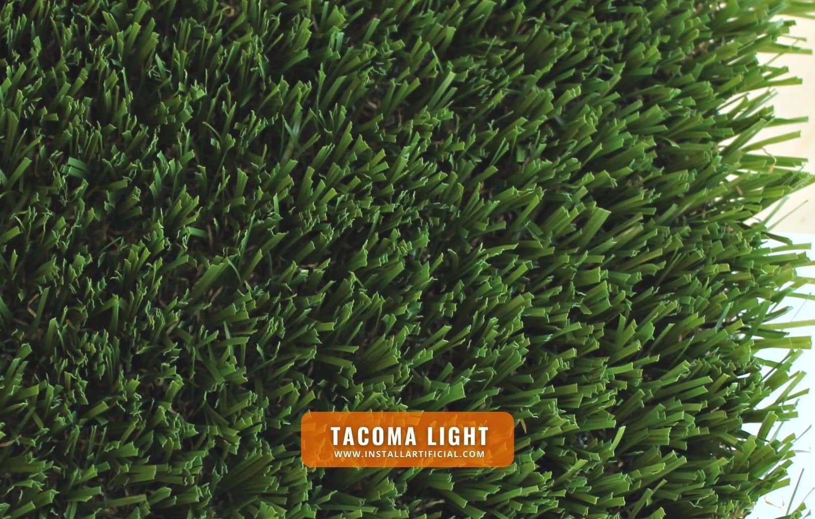 Tacoma Light, Synthetic Grass Warehouse, Everlast, top