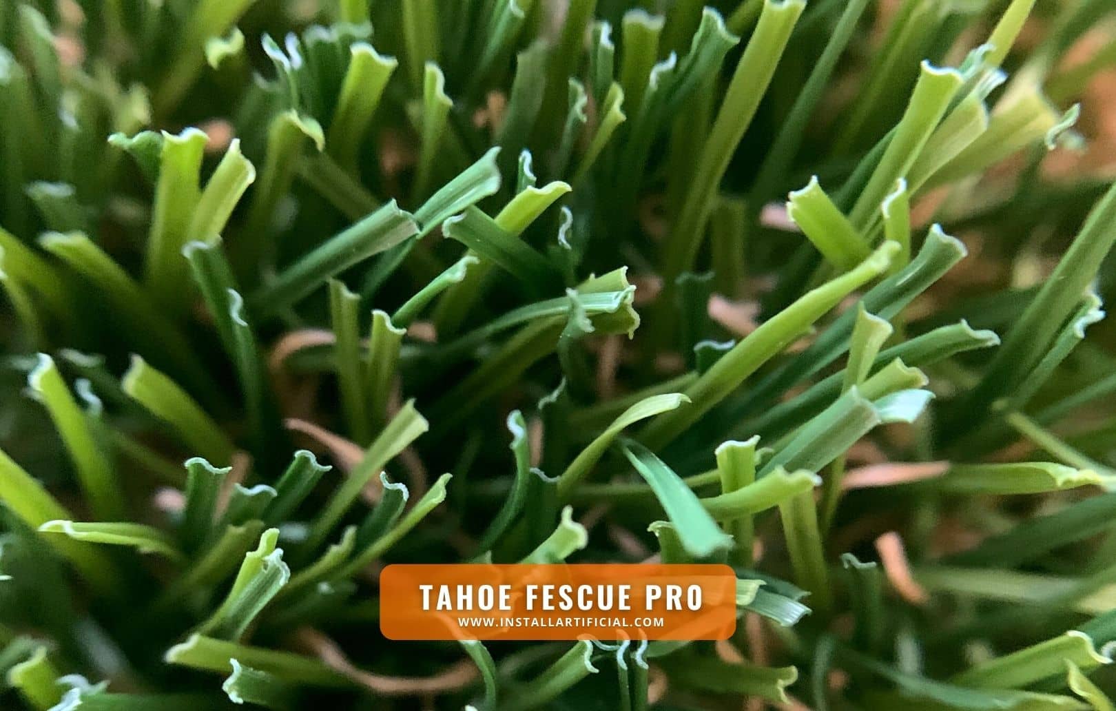 Tahoe Fescue Pro, Synthetic Grass Warehouse, Tiger Turf, macro