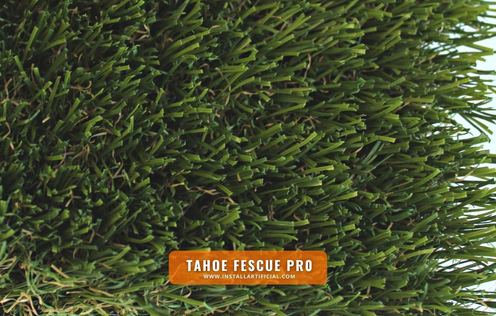 Tahoe Fescue Pro, Synthetic Grass Warehouse, Tiger Turf, top