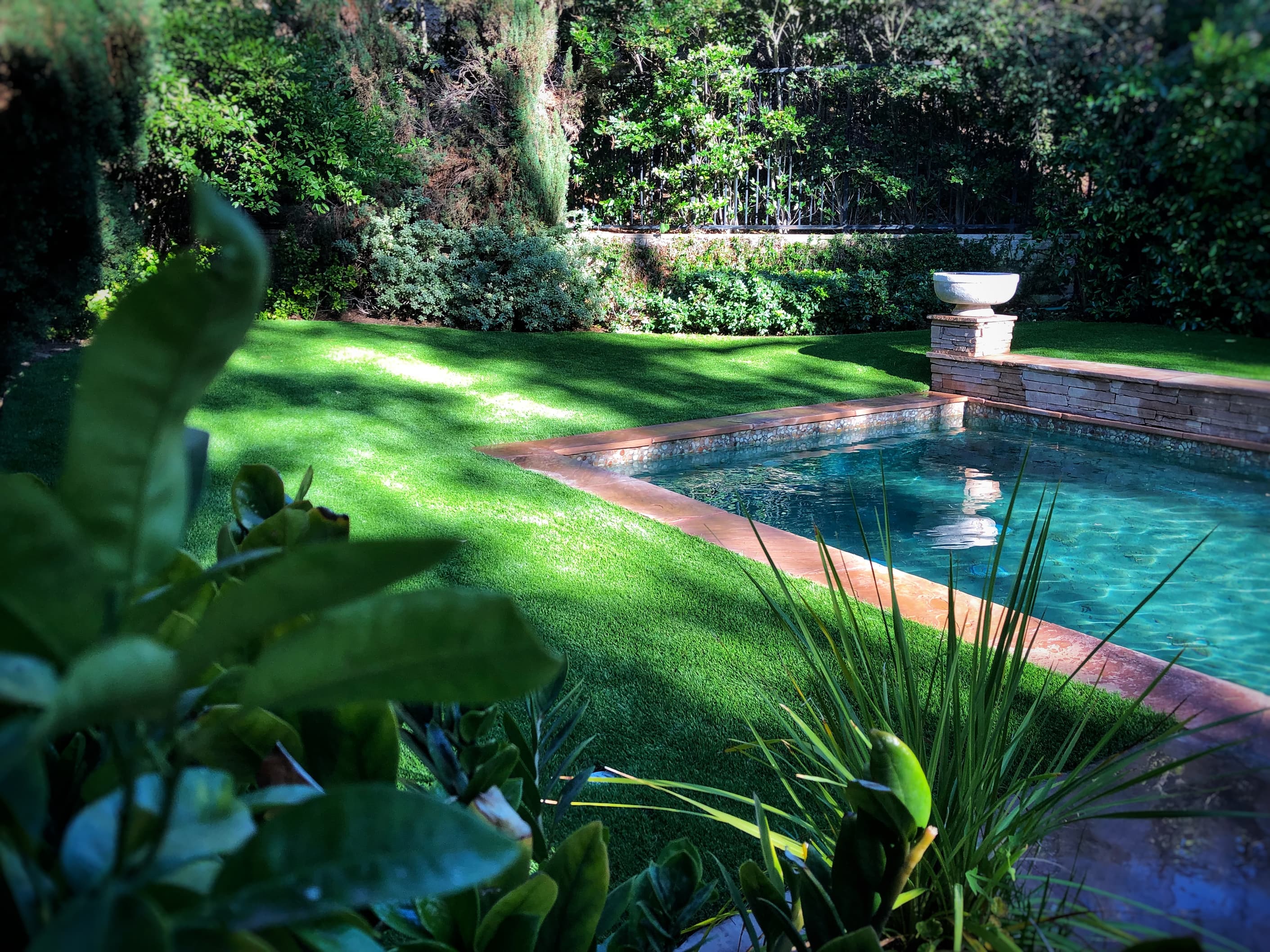 landscaping around the pool